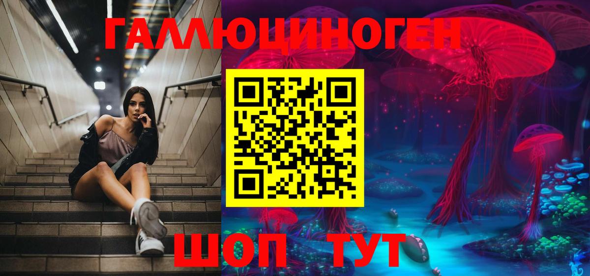 Галлюциногенные грибы Psilocybine cubensis Урюпинск